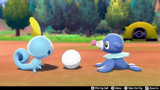 Camping With Popplio amp Sobble Together For Over An Hour  Pokemon Sword amp Shield [upl. by Valma]