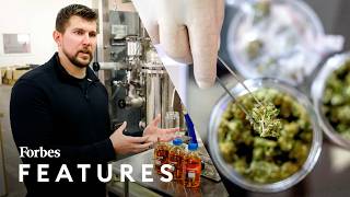 Hemp vs Marijuana Meet The Innovator Capitalizing On A 28 Billion Legal Loophole  Forbes [upl. by Mendelson]