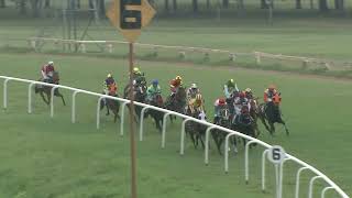 SHES UNSTOPPABLE with A Ayaz Khan up wins The Treasures Nest Plate Div1 2024 RACE 11 [upl. by Trela]