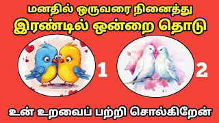 மனதில் ஒருவரை நினைத்து 2 பறவைகளில் ஒன்றை தேர்ந்தெடுங்கள் உங்கள் உறவைப்பற்றி சொல்கிறேன்  Tamil [upl. by Petrina600]