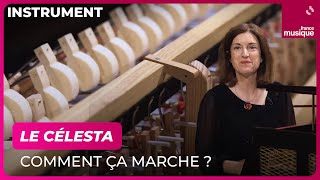 Le célesta comment ça marche  Par Catherine Cournot  Culture Prime [upl. by Greene]