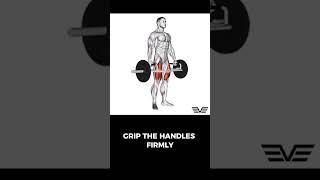 Trap Bar Deadlift trapbardeadlift deadlift deadlifts trapbardeadlifts [upl. by Ettenor344]