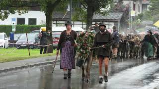 Viehscheid 2024 in Pfronten  Verregnet und klein aber fein  14092024  Kurzfilm [upl. by Jannelle]