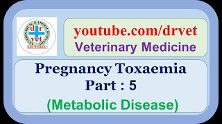 Pregnancy Toxaemia Part 5 [upl. by Ahsaek38]