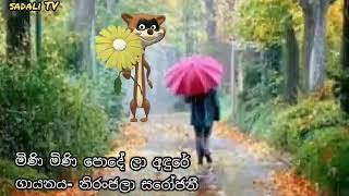 මිනිමිනි පොදේmini mini pode la adureyou tub sadali tv [upl. by Namzed301]