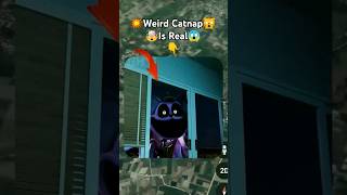 😶‍🌫️😱😨I Found a Very Strange Catnap In Google Earth 🤯short reelviral maptrending googleapps [upl. by Nylirahs]