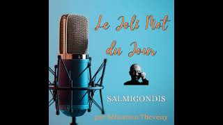 Le joli Mot du Jour  Salmigondis [upl. by Aeslehc]