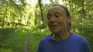 Sarthe  deux parcours de trail ouvrent à Challes [upl. by Kristopher]