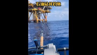 戶外釣魚：漁民在深海石油鑽井平臺使用電絞輪釣獲巨型石斑 船釣 釣魚 [upl. by Natie]