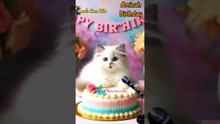 AMINAH HAPPY BIRTHDAY  HAPPY BIRTHDAY SONG WITH NAMES  Adorable Cute Cat 😺 happybirthday cake [upl. by Tamarah]