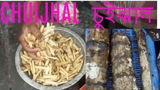 Chui jhal spicy masala  Famous chui jhal  Tasty chui jhal with meat  চুই ঝাল রেসিপিtasty food [upl. by Durware]