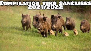 ☆68 tirs  compilation tirs sangliers best of 20212022☆ [upl. by Eet]