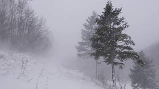 Snow Blizzard Relaxing Wind Sounds 2 Hours  Strong Winds Blowing Snow Relax Sleep Study [upl. by Rahel]