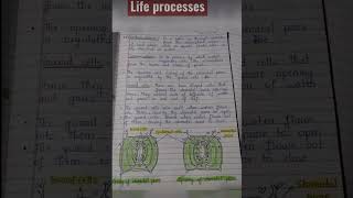 Life process notes class 10 [upl. by Enitsirc]