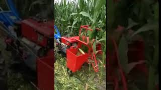 Selfpropelled hand push small corn harvester maize harvestor [upl. by Adnahsat]