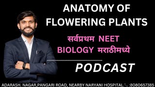 ANATOMY OF FLOWERING PLANTS CLASS 11  BOTANY BY MD SIR COMPLETE NCERT FOR NEET 2025  ONE SHOT [upl. by Nova]