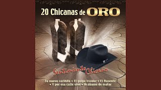 Caminos de Michoacán Versión Salsa [upl. by Ciprian]