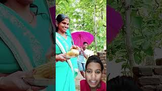 Namak pahle se le rakhi hai funny comedy videos shortvideos [upl. by Neelia287]