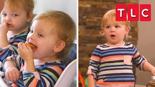 Quint Chaos Top Moments  OutDaughtered  TLC [upl. by Sheffie689]