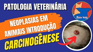 Carcinogênese  Introdução às neoplasias em medicina veterinária Parte 1  Patologia Geral [upl. by Essilec]