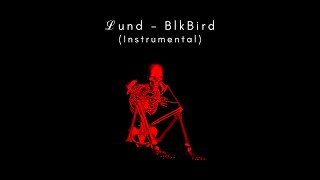 ℒund  BlkBird Instrumental [upl. by Winshell630]