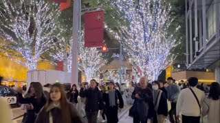 Roppongi Hills🎄🇯🇵 Christmas Illumination⭐️ [upl. by Torrlow]