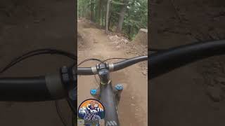 Silver Fir DH Washingtons version of Whistler DH mtb mountainbiketrails pnwmtb mountainbiking [upl. by Cindie]