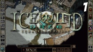 Icewind Dale EE  Multiplayer Gameplay P1  Getting Started [upl. by Marie-Jeanne]