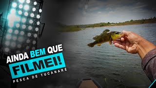 Testando Iscas na Pesca de Tucunarévideodepesca tucunare fishing [upl. by Anayhd]