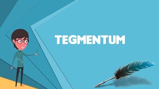 What is Tegmentum Explain Tegmentum Define Tegmentum Meaning of Tegmentum [upl. by Anallij580]