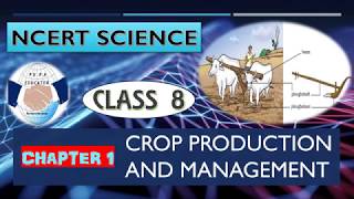 NCERT SCIENCE CLASS 8 CHAPTER 1 CROP PRODUCTION AND MANAGEMENT [upl. by Hultgren]