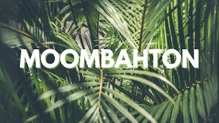 Moombahton Mix 2022 🎧🔥 The Best Of Moombahton [upl. by Anderer887]