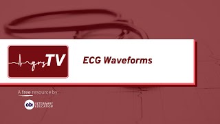 qrsTV  ECG Waveforms  Veterinary Cardiology [upl. by Meyer131]