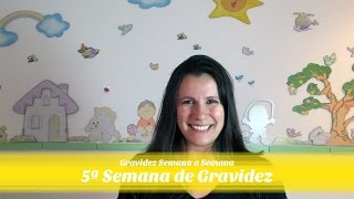 5ª SEMANA DE GRAVIDEZ [upl. by Alodi]