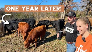 One Year on the Homestead Changed Our Lives Forever [upl. by Toddie]