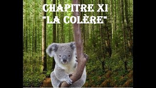 Chapitre XI quotLa Colèrequot Histoire Fantastique pour Petits et Grands Livre audio [upl. by Ellehsat]