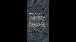 What are Zombie Cells [upl. by Erroll]