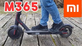 XIAOMI M365  LA MEILLEUR TROTTINETTE ÉLECTRIQUE  TEST VITESSE [upl. by Ycnuahc]