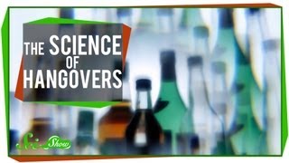 The Science of Hangovers [upl. by Caine883]