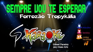 Karaokê Forrozão Tropykália  Sempre Vou te Esperar [upl. by Ynolem]