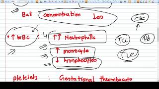 Understand Physiological Changes in Blood during Pregnancy Very Important [upl. by Amlas630]