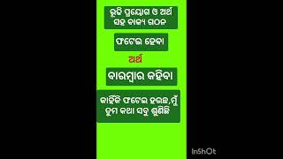 ରୂଢି ପ୍ରୟୋଗ ଓ ଅର୍ଥ ସହ ବାକ୍ୟ ଗଠନ grammar odia [upl. by Tremayne544]