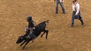 Calf Riding  2018 Junior Bull Riding National Finals NJBRA [upl. by Noorah]