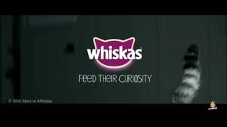 Whiskas Pure Delight TV Advert 2020s 20s UK [upl. by Zelazny884]