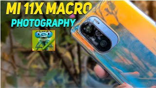 Macro Photography With Mobile  Mi 11x Macro Photography Without Macro Lens [upl. by Preiser520]