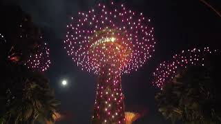 Garden by the bay SG Singapore midautumnfestival sg [upl. by Eanahs]