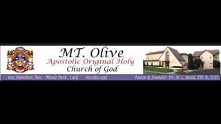 Mt Olive AOH Church of God Choir  King of Glory [upl. by Tereve]