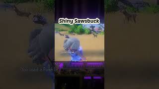 Shiny Sawsbuck pokemonviolet pokemon switchgames sawsbuck [upl. by Dranrev]