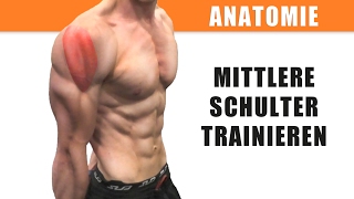 Mittlere Schulter trainieren – Anatomie des Deltamuskels – Seitliche Schulter [upl. by Margaret]