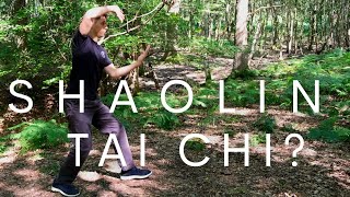 RARE Shaolin Tai Chi What is Shuang Yang [upl. by Hareehat]